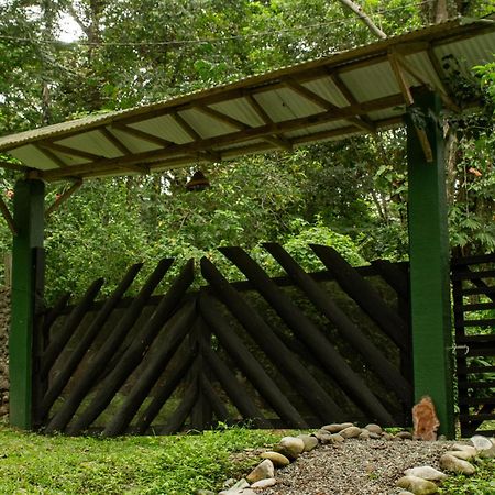 Smile Jungle Hostel Puerto Viejo de Talamanca Εξωτερικό φωτογραφία