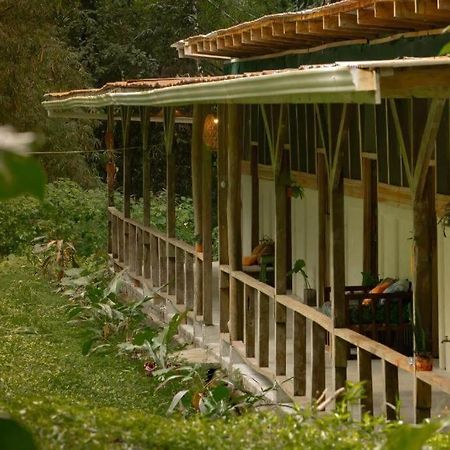 Smile Jungle Hostel Puerto Viejo de Talamanca Εξωτερικό φωτογραφία