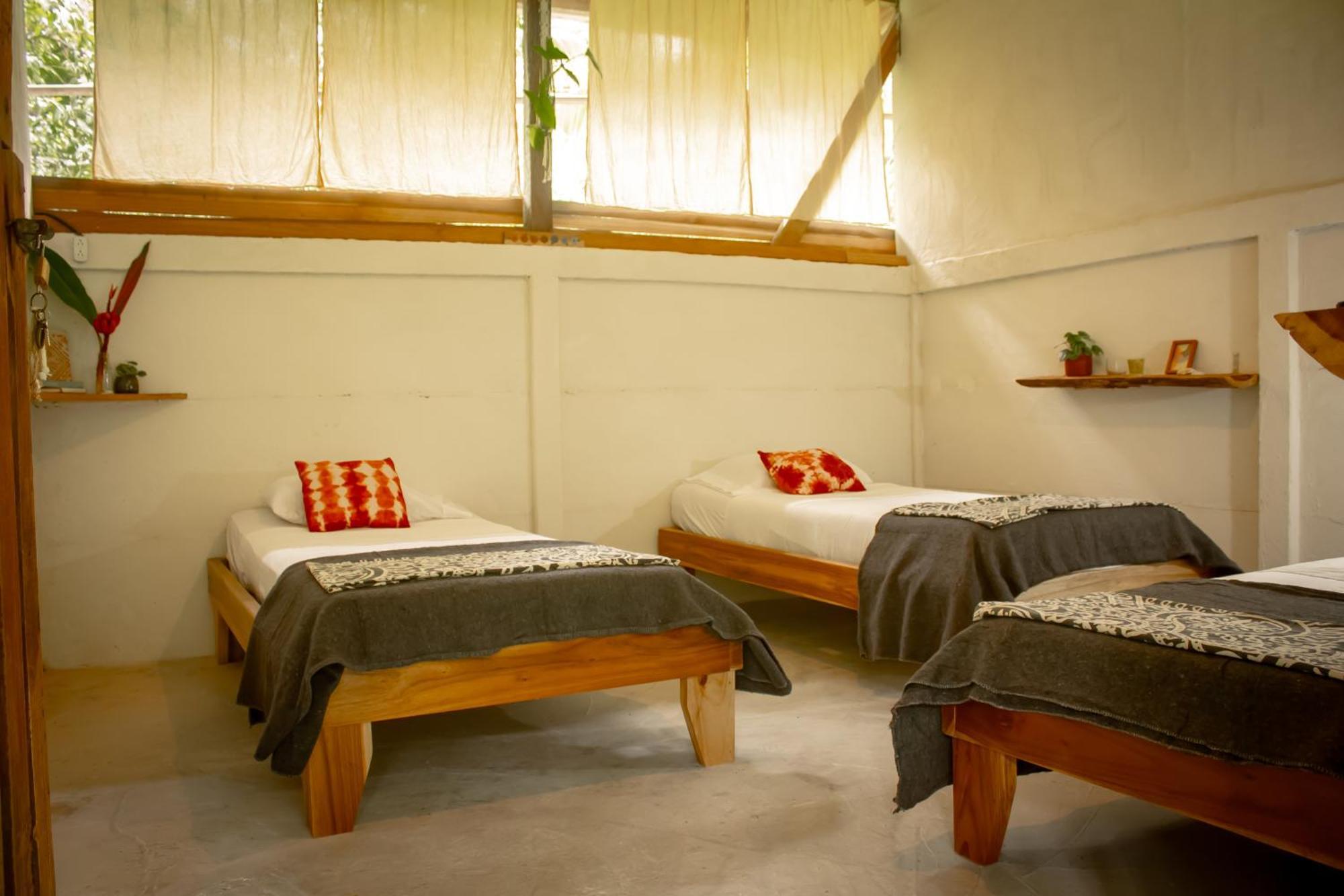 Smile Jungle Hostel Puerto Viejo de Talamanca Δωμάτιο φωτογραφία