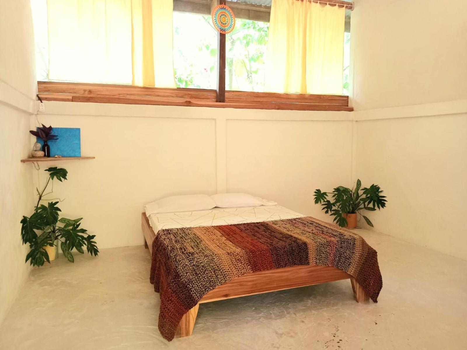 Smile Jungle Hostel Puerto Viejo de Talamanca Δωμάτιο φωτογραφία