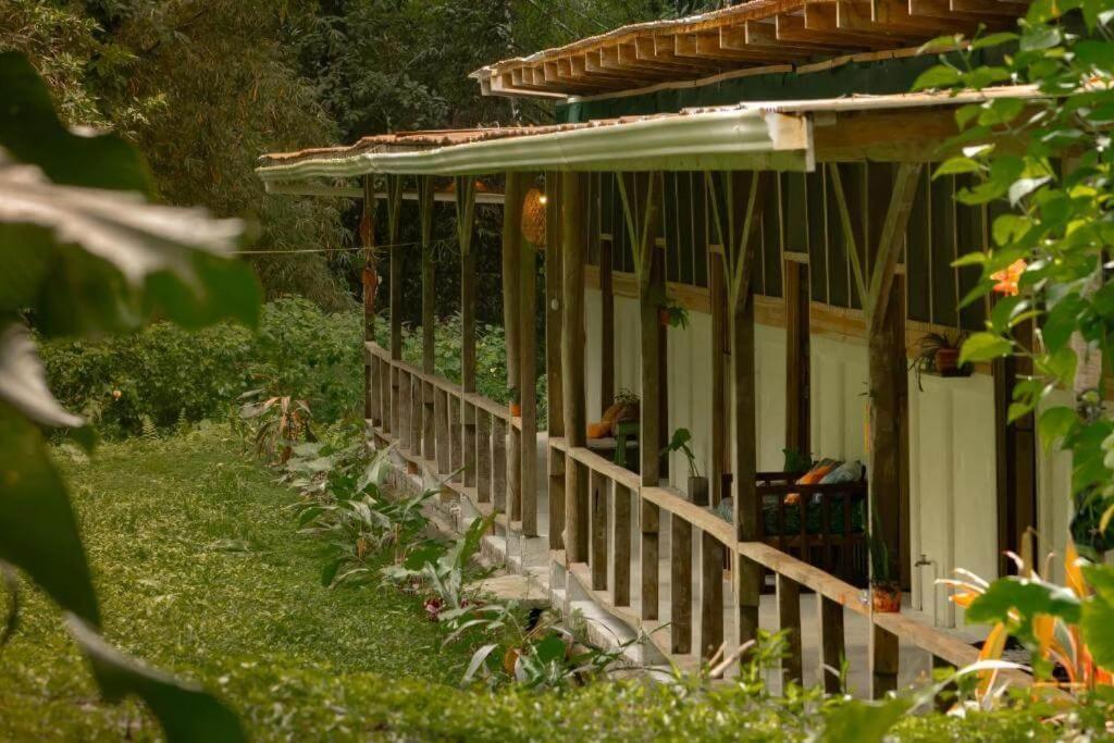 Smile Jungle Hostel Puerto Viejo de Talamanca Εξωτερικό φωτογραφία